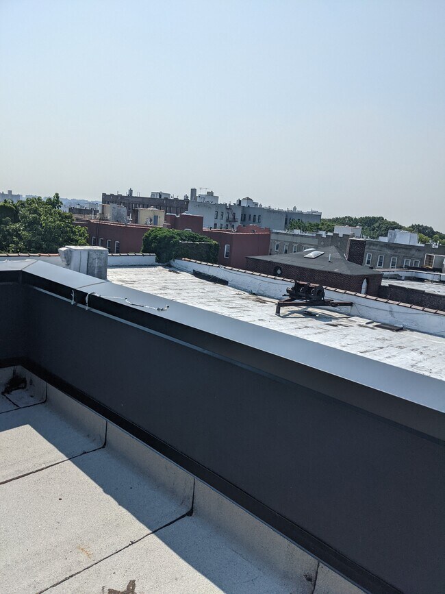 Building Photo - 1520 St Johns Pl