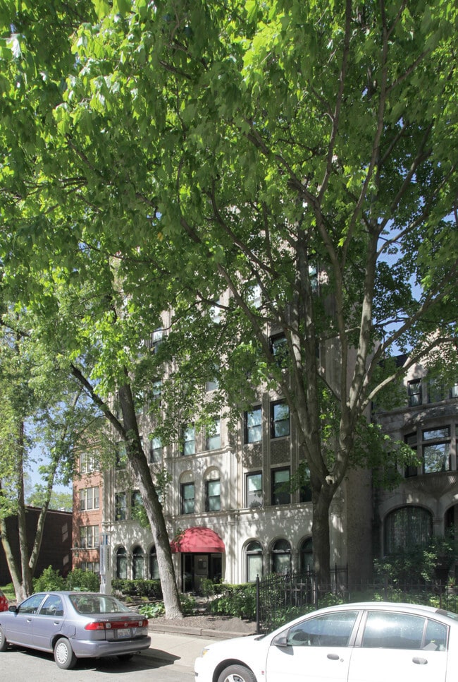 Building Photo - Ivy Dorchester