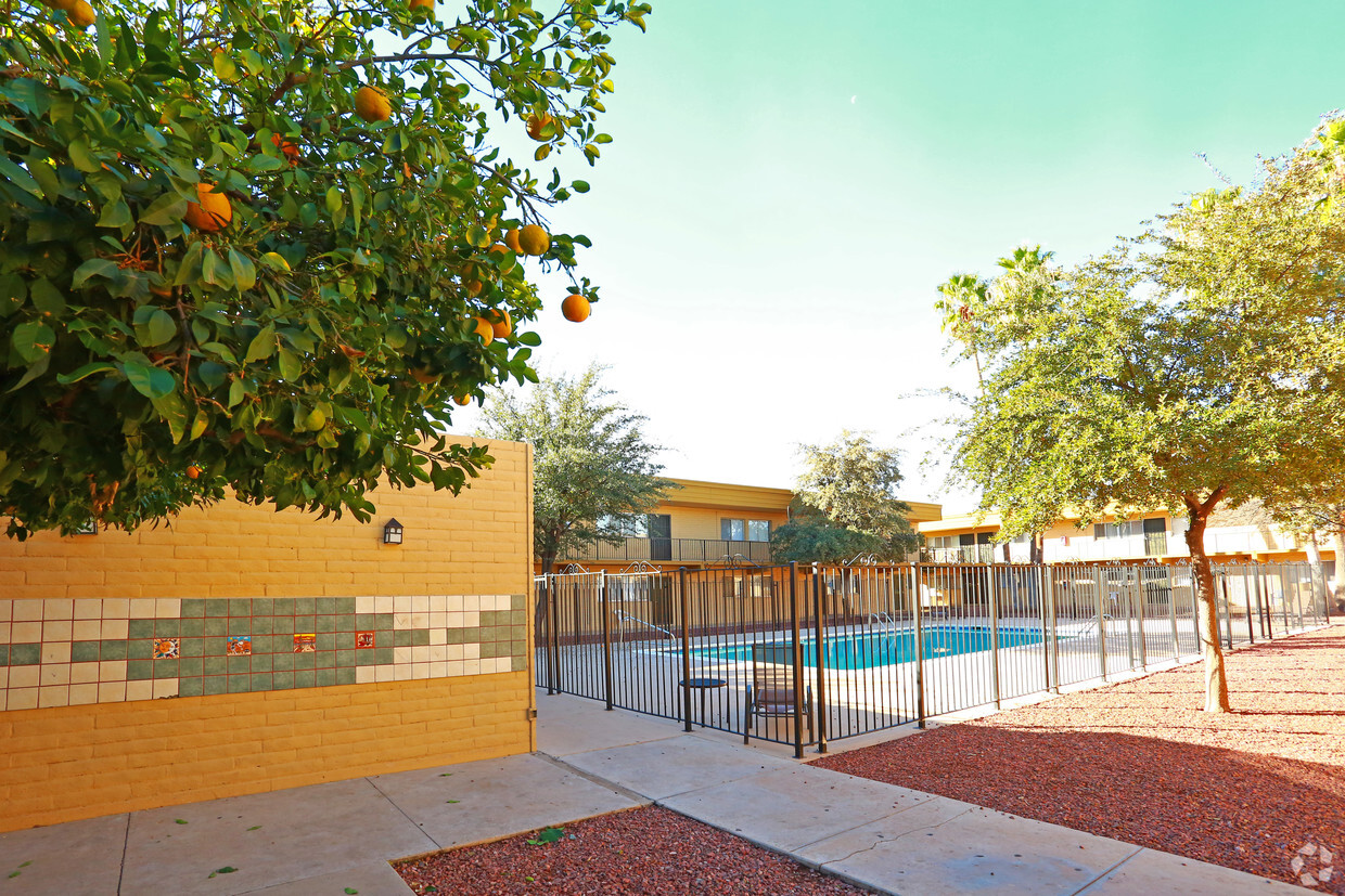 Tierra Sol - Apartments in Tucson, AZ | Apartments.com