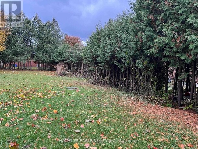 Building Photo - 43 Maple Grove Ave