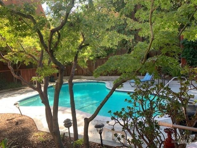 Building Photo - 1579 Lincoln Ave