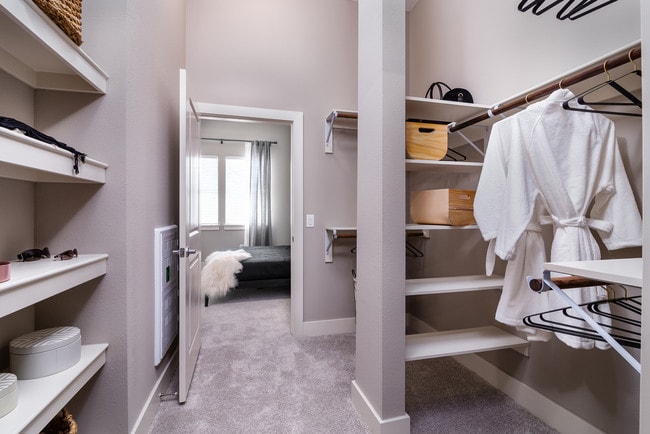 Walk-in closet - AMLI Littleton Village