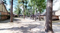 This single-story property is set within a beautifully wooded environment, where tall, mature trees — including striking pines — create a canopy of natural shade across the grounds. The exterior features classic brick construction with a pitched roofline, giving the building a traditional and timeless architectural character. Winding concrete pathways meander through the property, connecting various areas while weaving between the established trees that define the landscape. The abundance of mature trees provides a sense of seclusion and natural beauty, filtering sunlight throughout the day and creating a peaceful, park-like atmosphere. The grounds are open and spacious, with the tree trunks and dappled light lending a distinctive, serene ambiance that sets this property apart. The surrounding environment suggests a quiet, established neighborhood with a strong connection to nature. The brick facades visible throughout are consistent in style, contributing to a cohesive and well-maintained appearance. Overall, the property offers a harmonious blend of built structure and natural landscape, making the outdoor environment a defining and standout feature of the space.