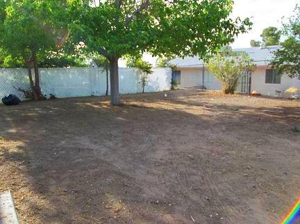 Foto del edificio - 213 Ash St