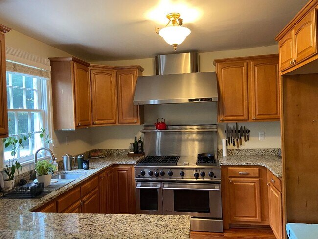 Foto del edificio - 13 Elizabeth St