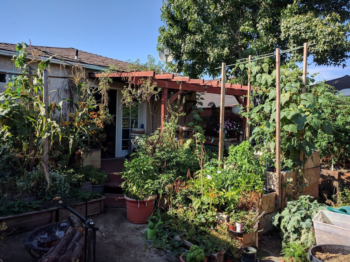 28 Houses Available for Rent in Mar Vista, CA WestsideRentals