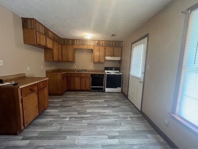 Building Photo - 279 Easy Street Cove