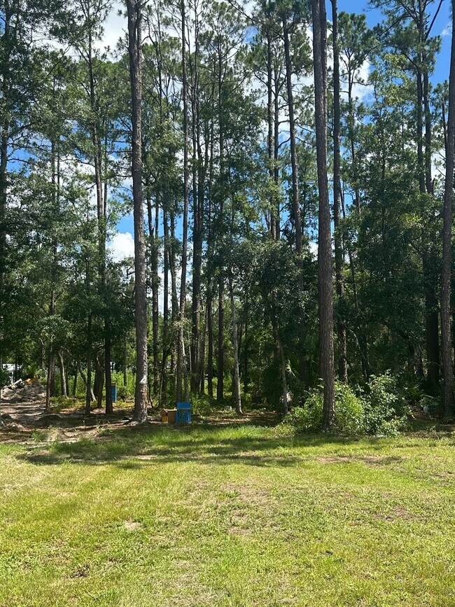 Building Photo - 121 Falcon Fire Pl