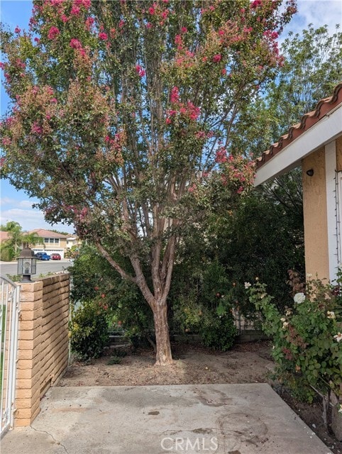 Building Photo - 381 S Carole Ln