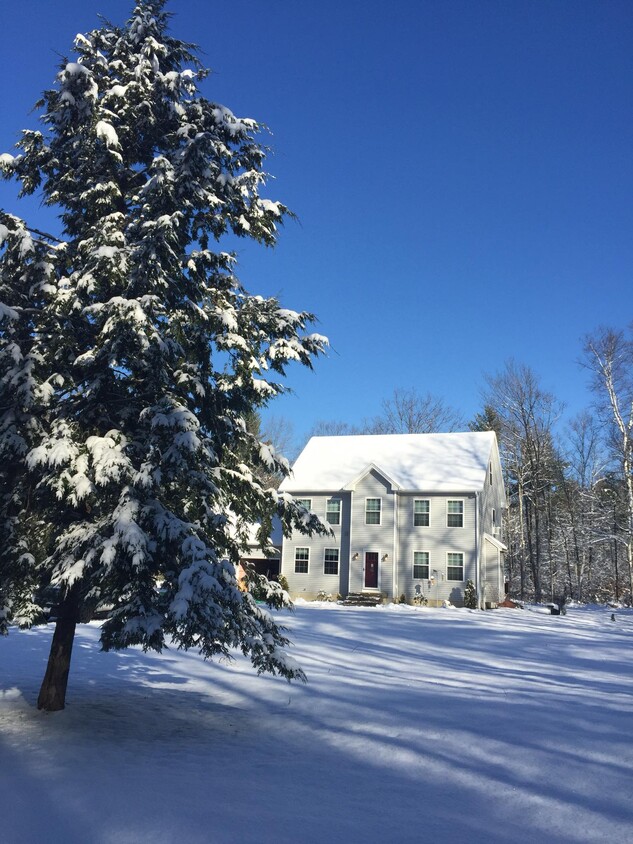 front yard view winter - 117 Cemetery Rd