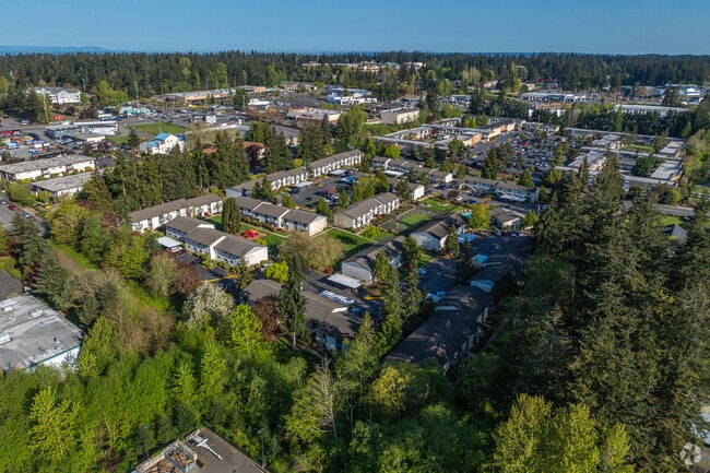 Aerial Photo - Pinewood Square Apartment Homes