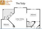 The Tulip