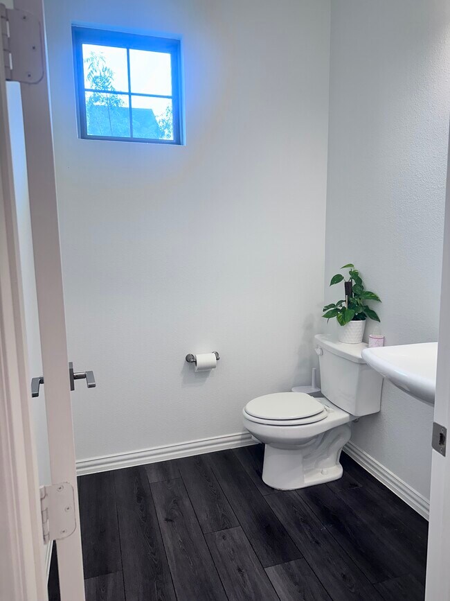 Building Photo - 3305 Sarala Ct