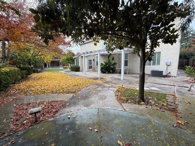 Building Photo - 70 Jade Tree Cir