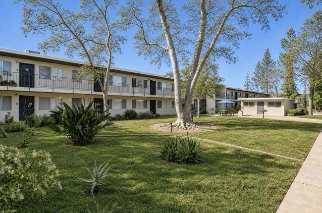 Building Photo - Terre at Trails