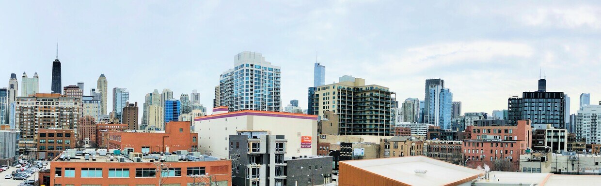 Private roof deck with 360 city skyline views - 825 N Hudson Ave