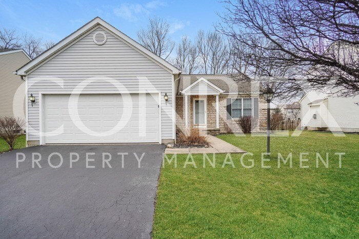Primary Photo - Amazing 3 Bedroom Ranch