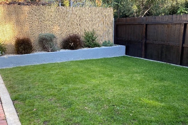 Front yard - 713 Amoroso Pl