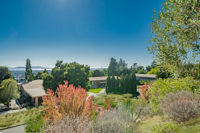 Beautiful Mature Landscaping Throughout The Property! - The Dorms at Woodminster Terrace