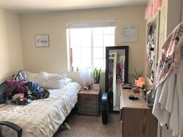 Large Bedrooms and closets - 724 W 1720 N