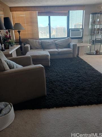 Foto del edificio - 343 Hobron Ln