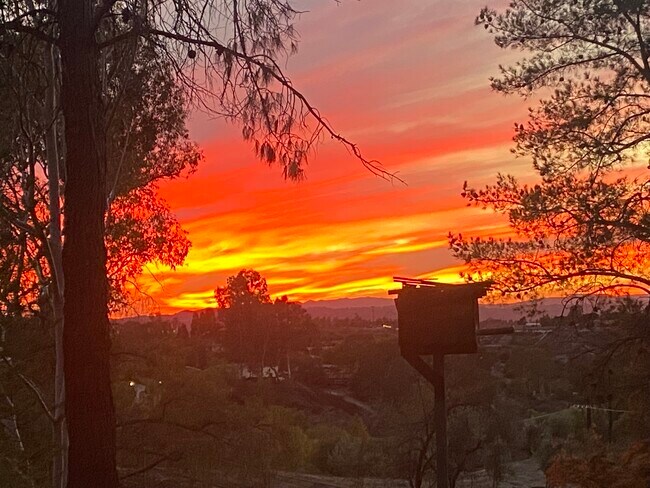 Foto del edificio - 35450 Calle Nopal