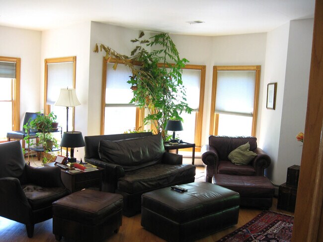 Foto del edificio - 536 N Oak Park Ave