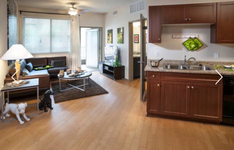 The living room and kitchen area - 555 N Commonwealth Ave