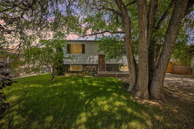 Foto del edificio - 4 Bedroom, 2 bathroom Located Close to Pikes Peak Community College!