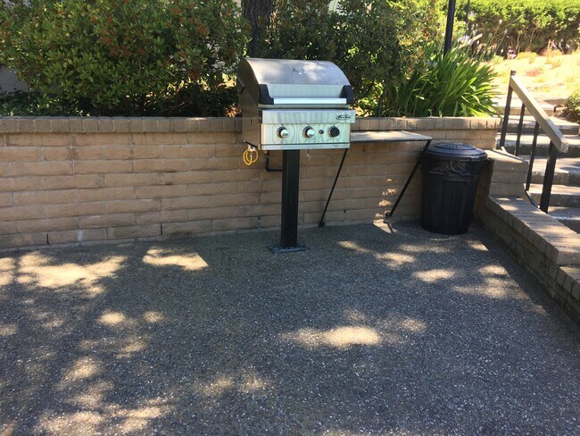 barbecue next to the pool - 1443 Marchbanks Dr