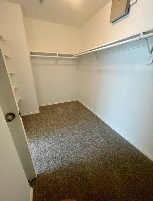 Foto del edificio - 12735 Whistling Springs Dr