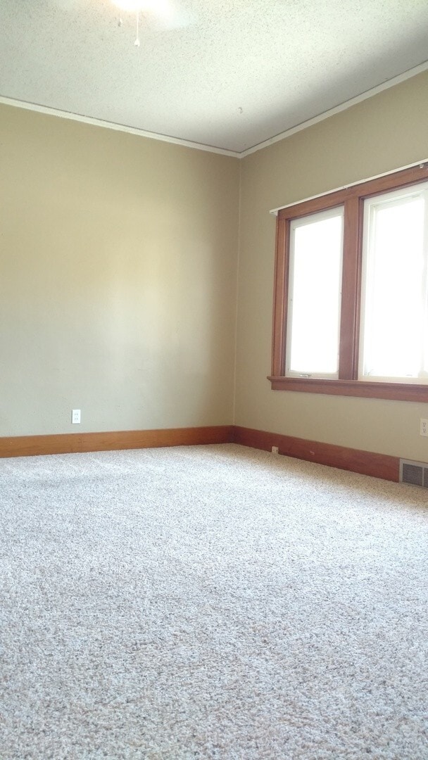 Building Photo - Now leasing for MAY 2026! Check out our 4 bedroom/3 bath house in Cedar Falls!