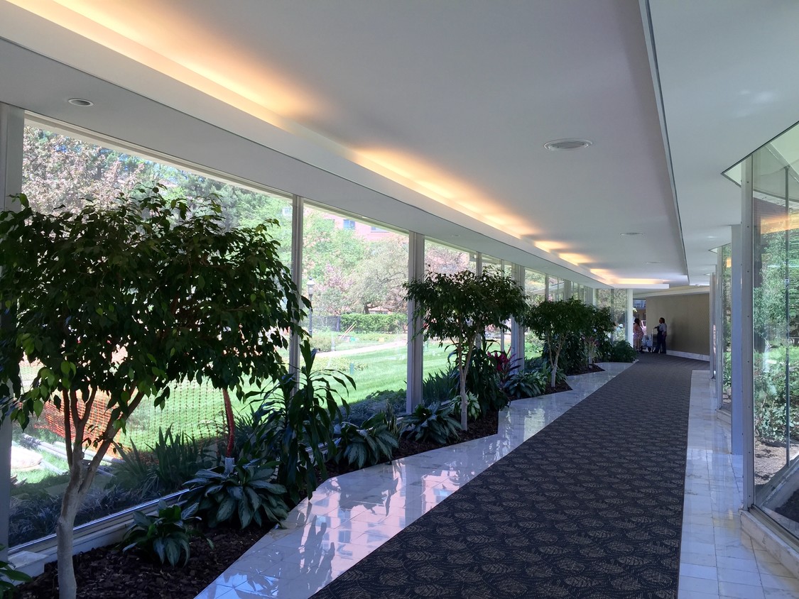 Building hallway - 4201 Cathedral Ave NW