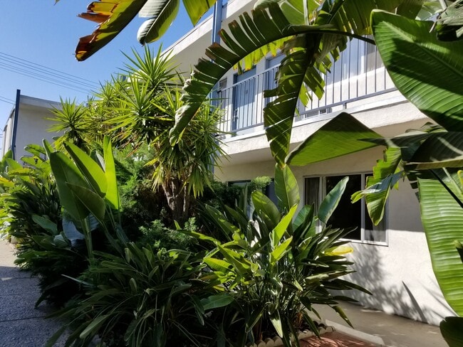 Outside Landscape - 336 E Santa Anita Ave