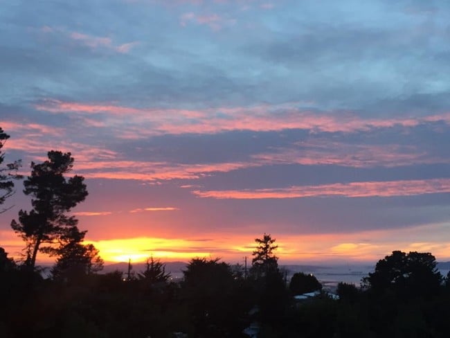 Building Photo - 7285 Snake Rd