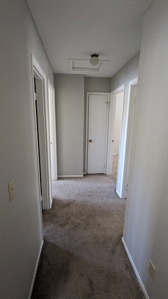 Building Photo - 901 Olmstead Dr