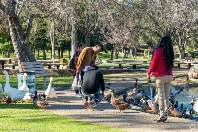 You can feed the ducks at Waller Park in Santa Maria.