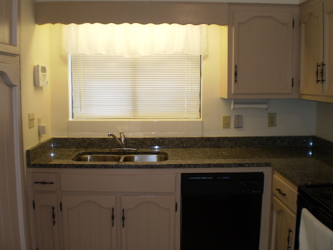 Kitchen - 206 Springvale Cir