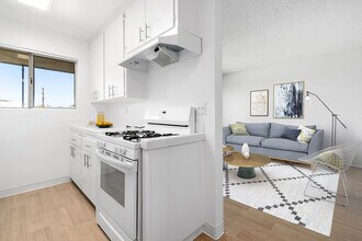 Shady Lane Apartments photo'