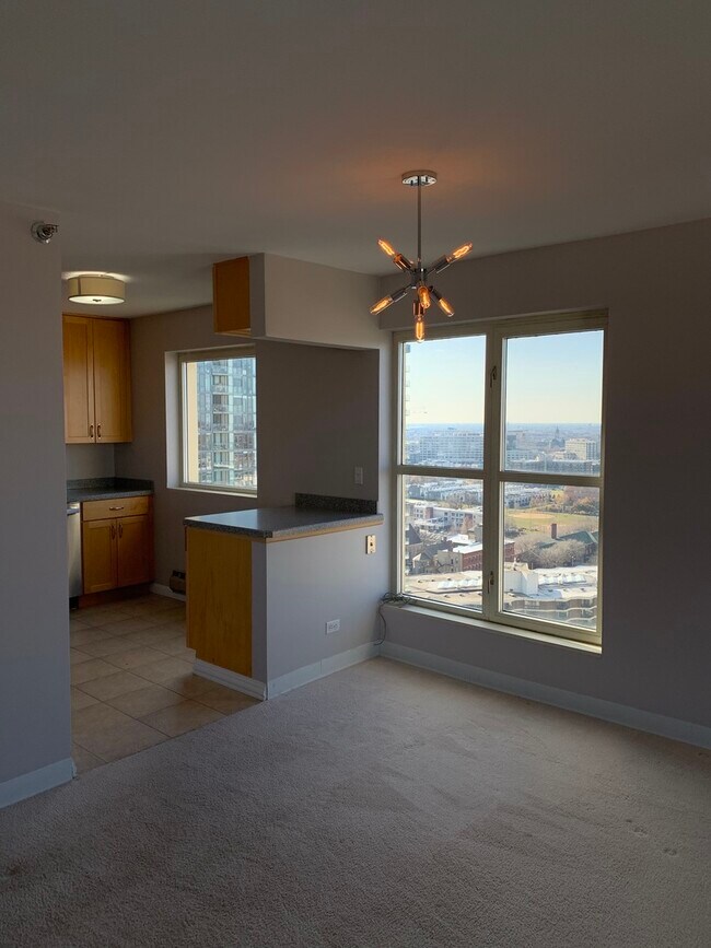 1212 N La Salle Dr Unit 2510, Chicago, IL 60610 Condo for Rent in Chicago, IL