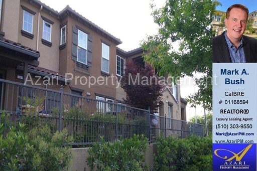 Foto principal - 48914 Lady Fern Cmn