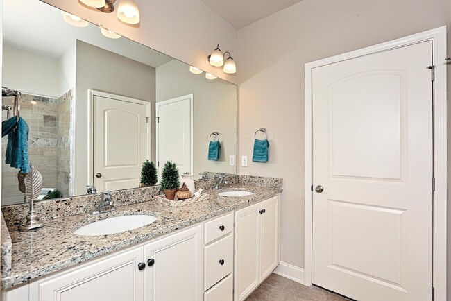 Master Bath granite sinks - 37 Winter King Dr SW