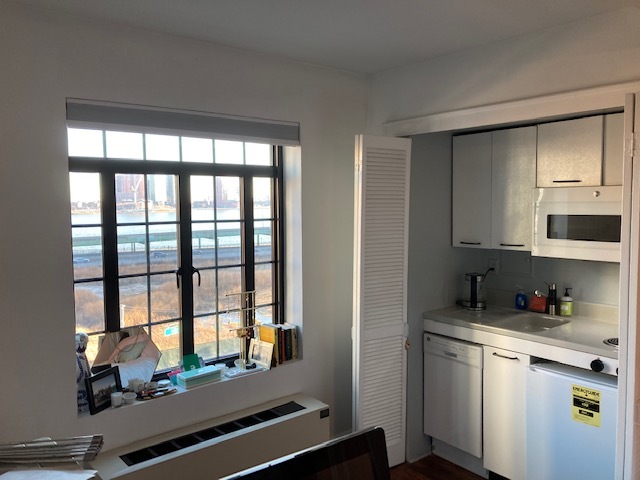 Window and Kitchen - 5 Tudor City Pl