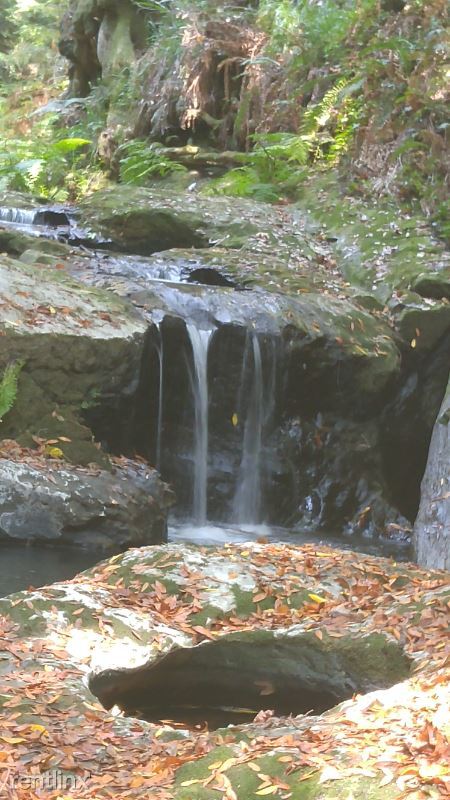 Foto del edificio - 2 br, 1 bath House - 161 Peregrine Ln