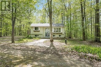 Building Photo - 104 Silver Birch Dr