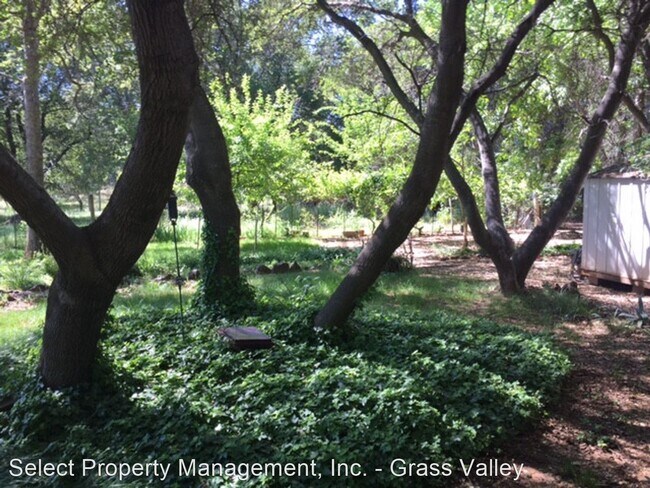 Foto del edificio - 1 br, 2 bath House - 7403 White Oak Lane