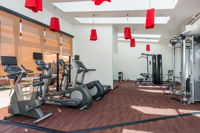 Gym - 2 Mint Plz
