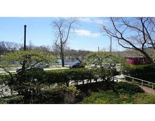 Primary Photo - 221 Mt Auburn St