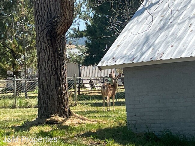 Foto del edificio - 2 br, 1.5 bath House - 1601 Conklin St