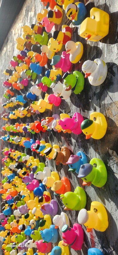 Famous Duck Wall on Divisadero side - 1101 Oak St